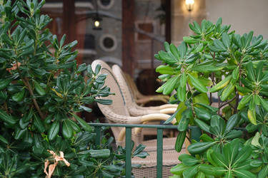 Similar image 22186898