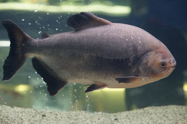 Similar image 22187054