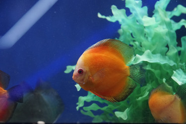 Similar image 22187055