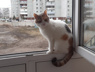 Similar image 22187705