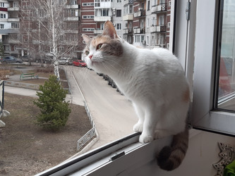 Similar image 22187709