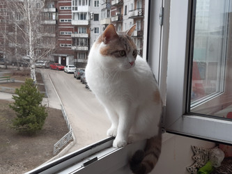 Similar image 22187710