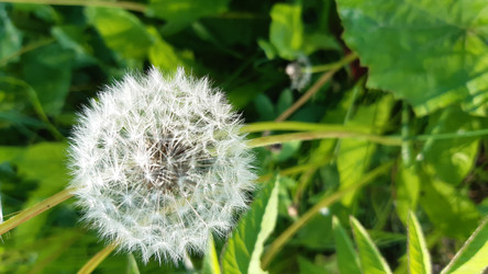 Similar image 22187713