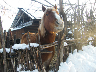 Similar image 22187819