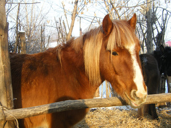 Similar image 22187822