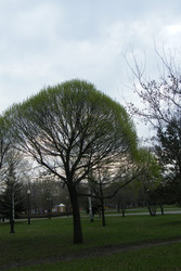 Similar image 22187823