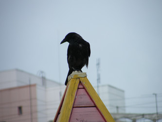 Similar image 22187824