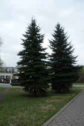 Similar image 22187825