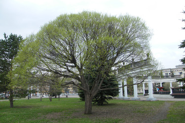 Similar image 22187826