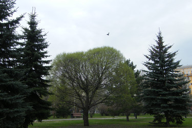 Similar image 22187829