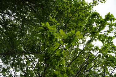 Similar image 22187346