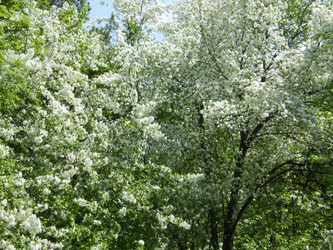 Similar image 22187867