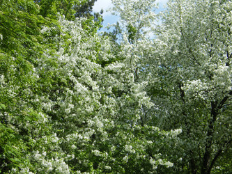 Similar image 22187693