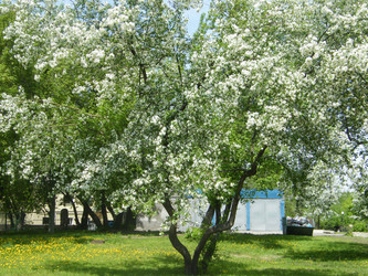 Similar image 22187720