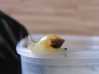 Similar image 22187731