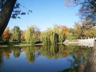 Similar image 22187733