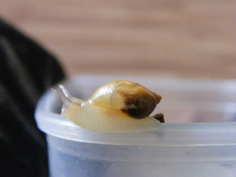 Similar image 22187734