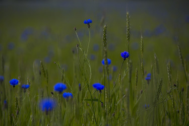 Similar image 22188720