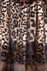 Similar image 22186921