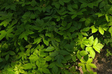 Similar image 22188081