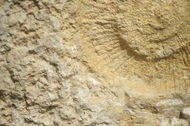 Similar image 22188095