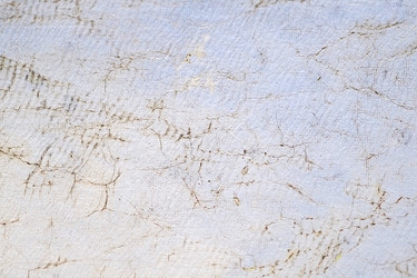 Similar image 22188096