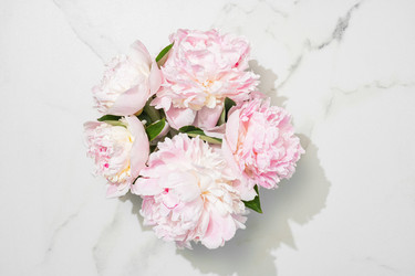 Similar image 22187056