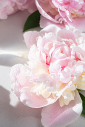 Similar image 22187066