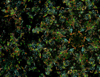 Similar image 22192247