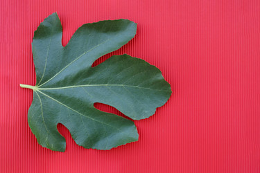 Similar image 22189351