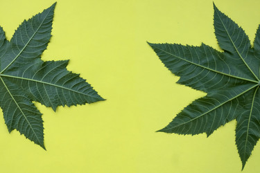 Similar image 22189352