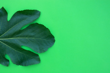 Similar image 22189353