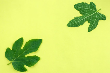 Similar image 22189354