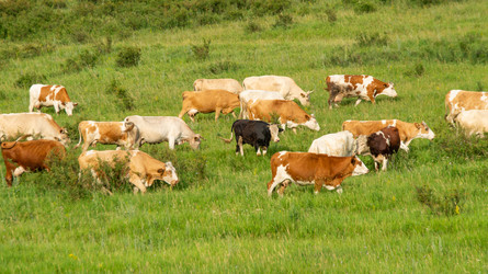 Similar image 22187071