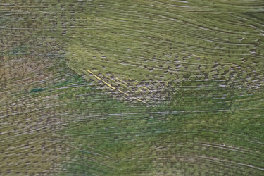 Similar image 22188452