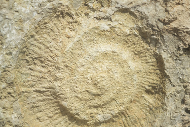 Similar image 22188454