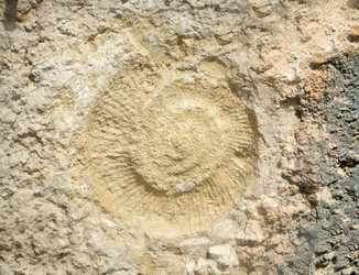 Similar image 22189072