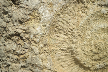 Similar image 22189076