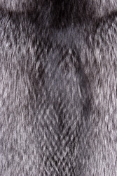 Similar image 22189077