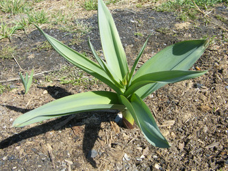 Similar image 22187746