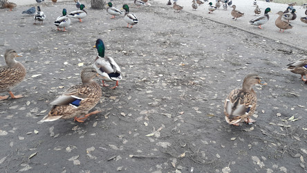 Similar image 22187747