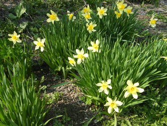 Similar image 22187748