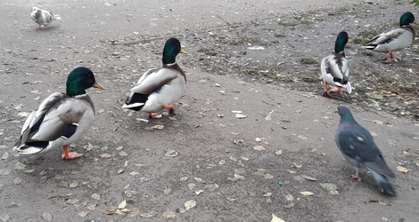 Similar image 22187749