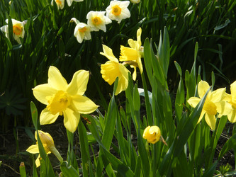 Similar image 22187750