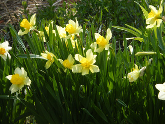 Similar image 22187752