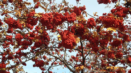 Similar image 22187753