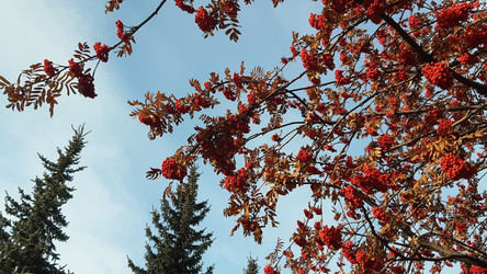 Similar image 22187754