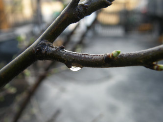 Similar image 22187755