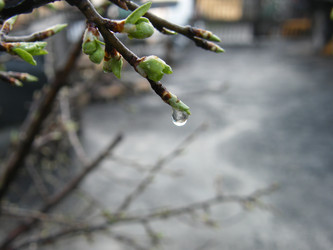 Similar image 22187757