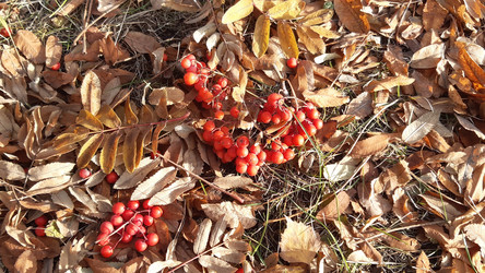 Similar image 22187758